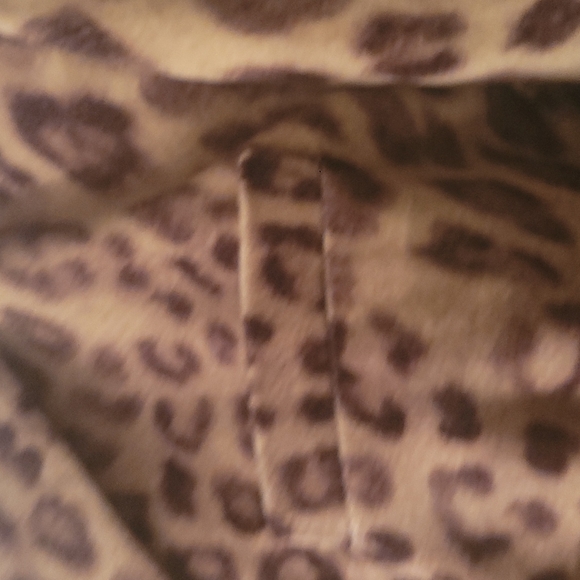 Talbots Cheetah Print Blazer Size 16 - Picture 5 of 12